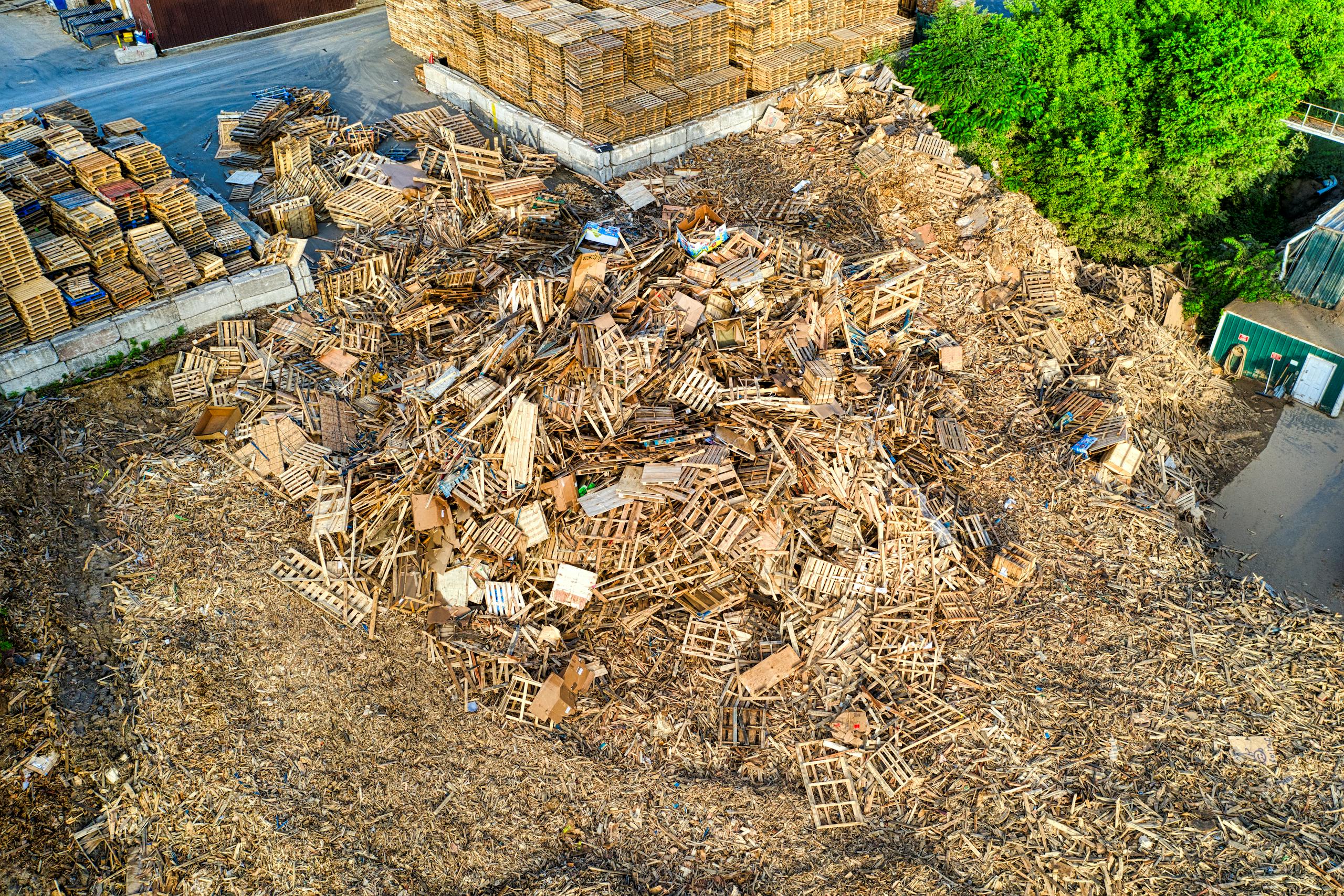 Broken Wood Pallet in a Yard